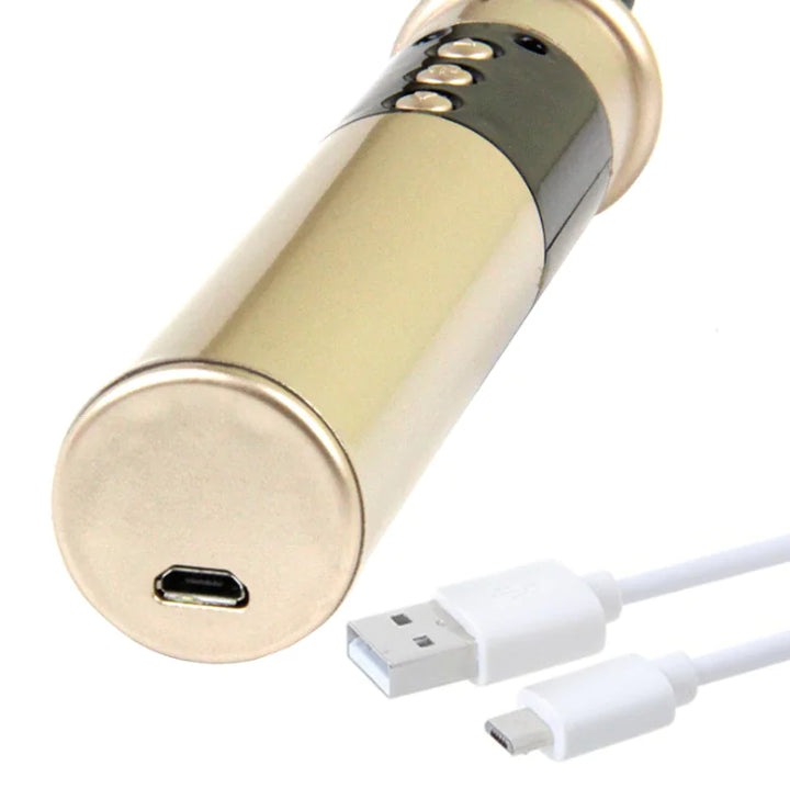 "Electro Pulse Whip for Sensual Play Products"