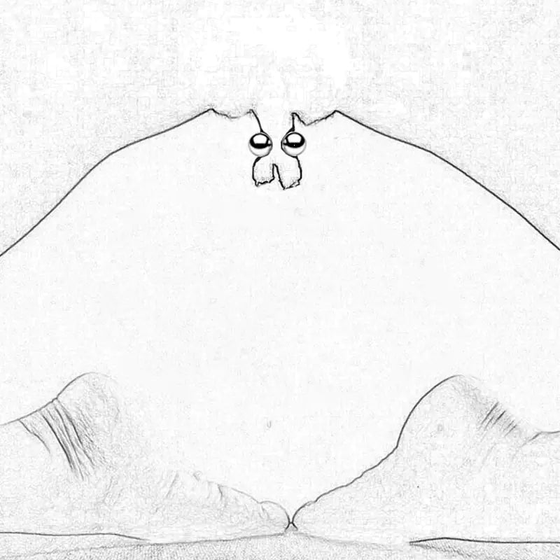 Nipple Clamps and Magnetic Ball Stimulator Adult Toy