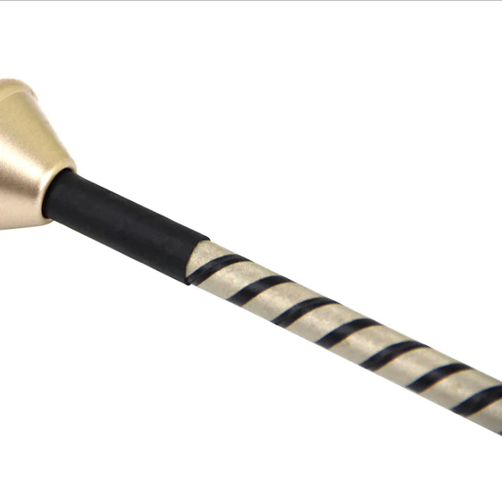 "Electro Pulse Whip for Sensual Play Products"