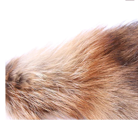 Fox Tail Anal Plug - Metal Pleasure Toy